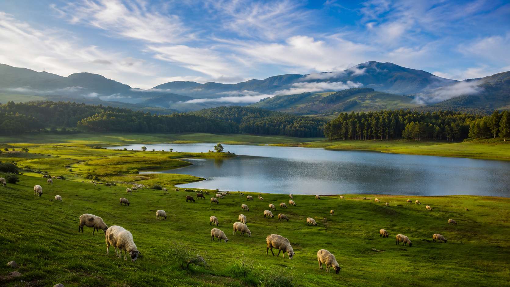 Mannavanur Lake