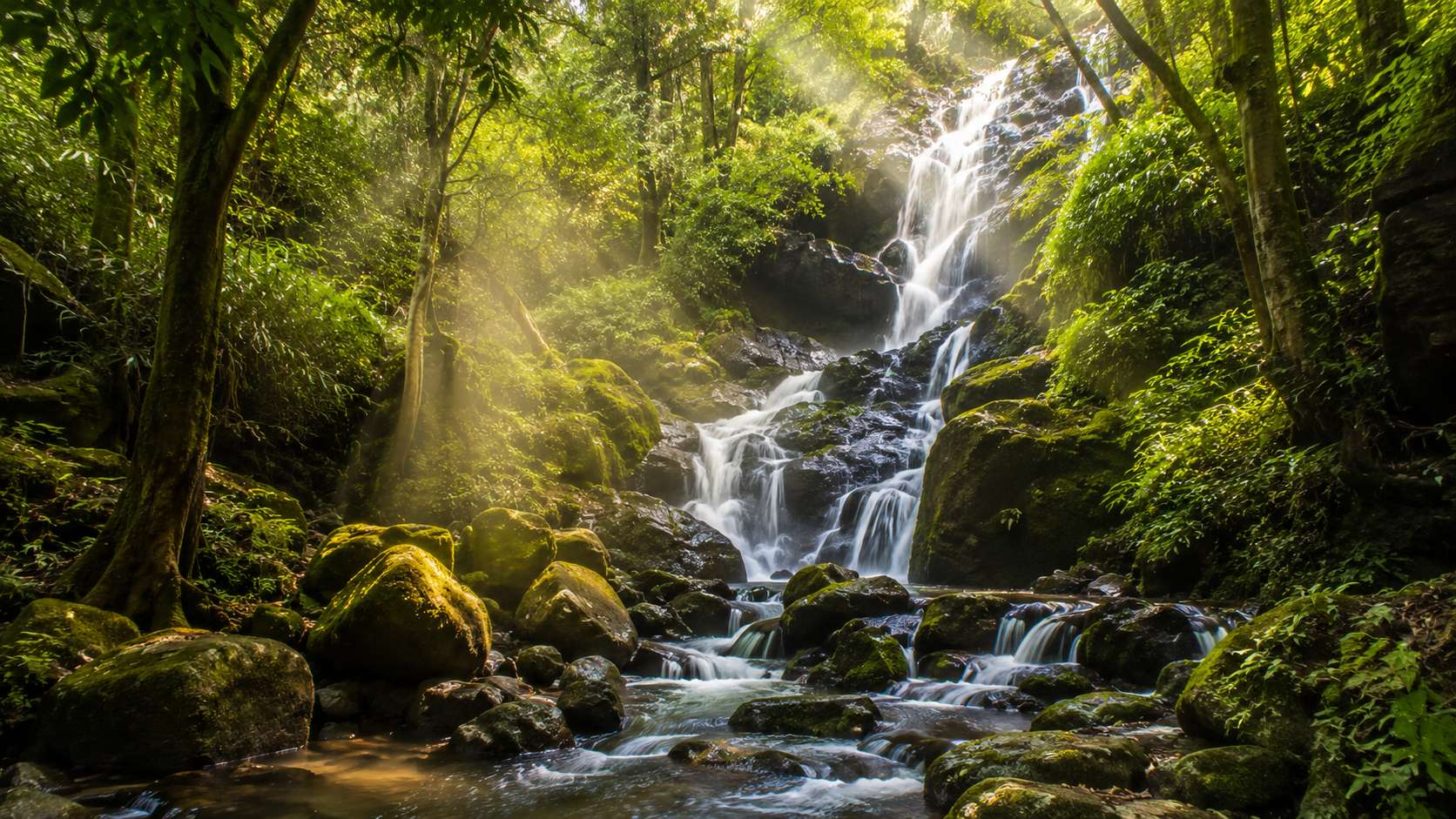 Bear Shola Falls