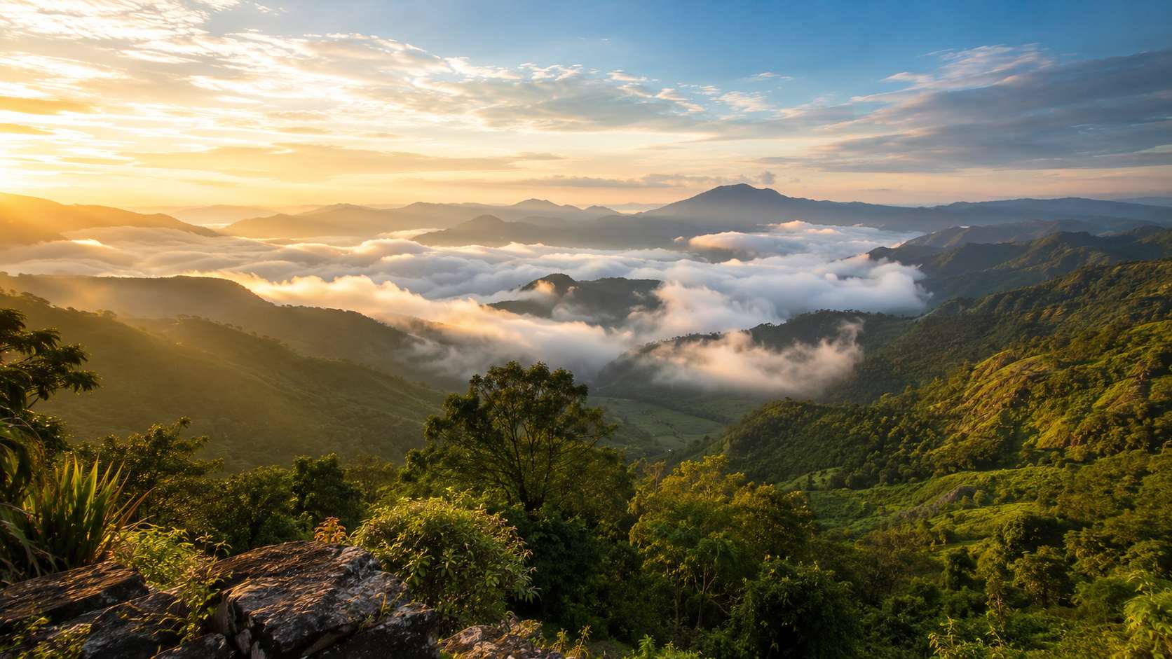 Green Valley View